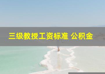 三级教授工资标准 公积金